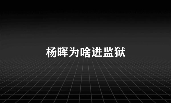 杨晖为啥进监狱