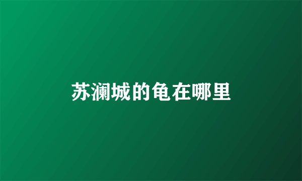 苏澜城的龟在哪里