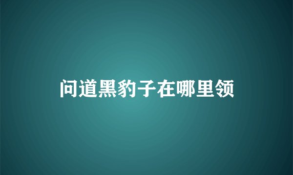 问道黑豹子在哪里领