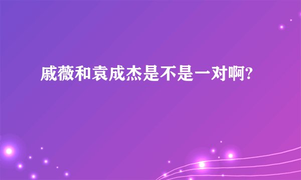 戚薇和袁成杰是不是一对啊?