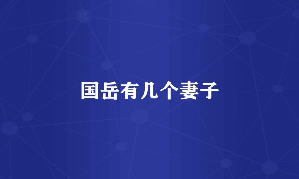 国岳有几个妻子