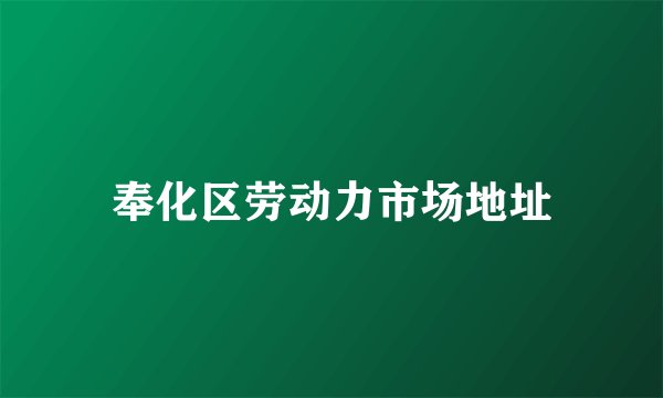 奉化区劳动力市场地址
