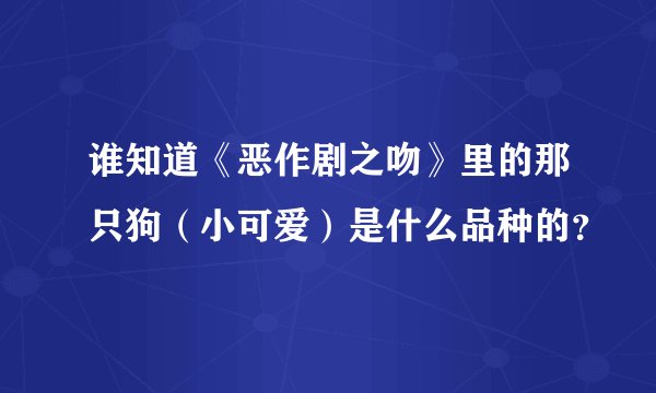 谁知道《恶作剧之吻》里的那只狗（小可爱）是什么品种的？