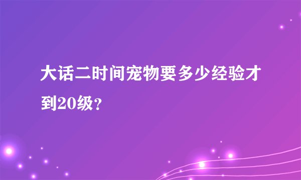 大话二时间宠物要多少经验才到20级？