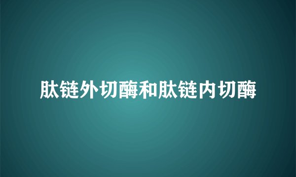 肽链外切酶和肽链内切酶
