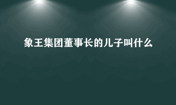 象王集团董事长的儿子叫什么