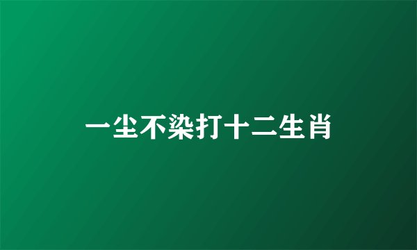 一尘不染打十二生肖