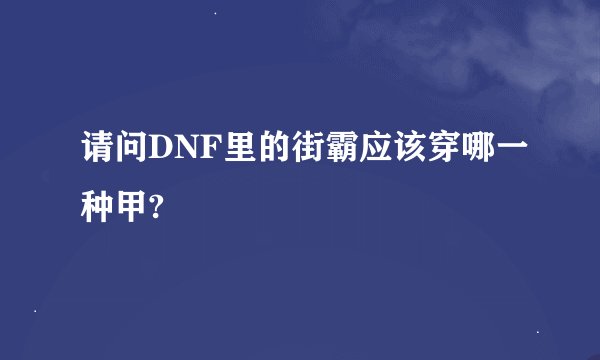 请问DNF里的街霸应该穿哪一种甲?
