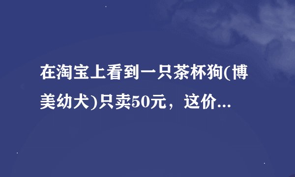 在淘宝上看到一只茶杯狗(博美幼犬)只卖50元，这价格正常吗？