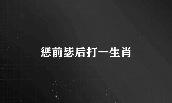 惩前毖后打一生肖