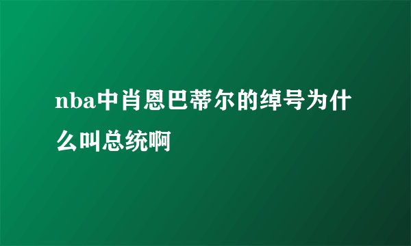 nba中肖恩巴蒂尔的绰号为什么叫总统啊