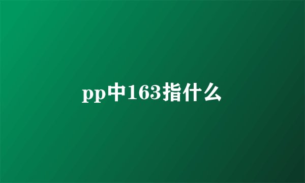 pp中163指什么