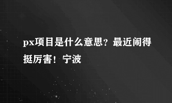 px项目是什么意思?最近闹得挺厉害!宁波