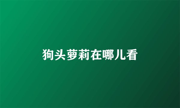 狗头萝莉在哪儿看