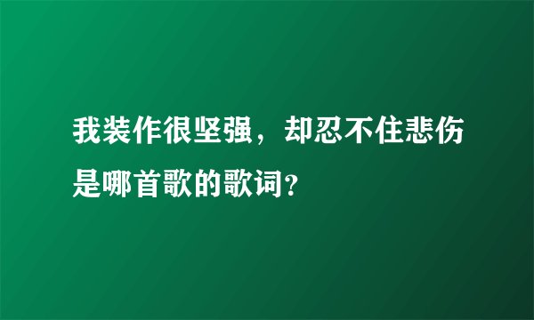 我装作很坚强，却忍不住悲伤是哪首歌的歌词？