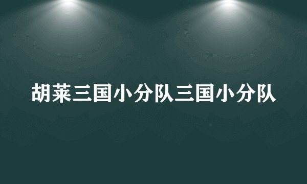 胡莱三国小分队三国小分队