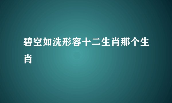 碧空如洗形容十二生肖那个生肖