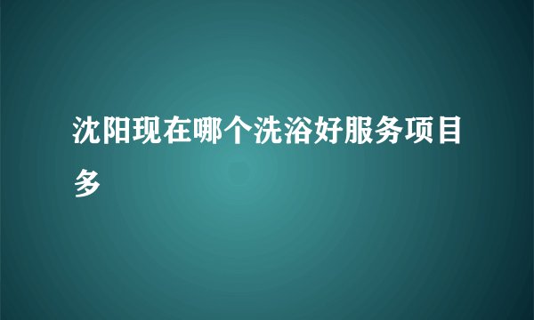 沈阳现在哪个洗浴好服务项目多