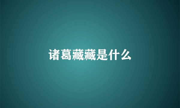 诸葛藏藏是什么