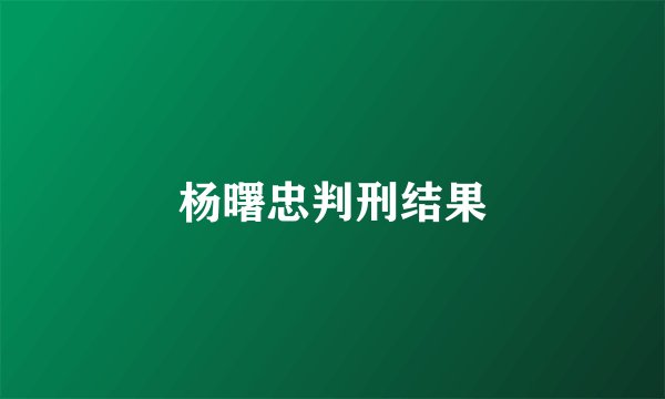 杨曙忠判刑结果