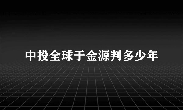 中投全球于金源判多少年