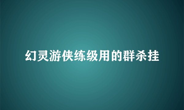 幻灵游侠练级用的群杀挂