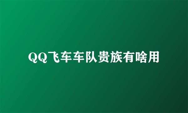 QQ飞车车队贵族有啥用