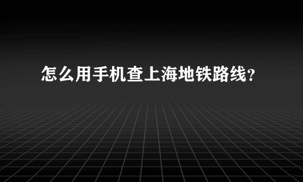 怎么用手机查上海地铁路线？