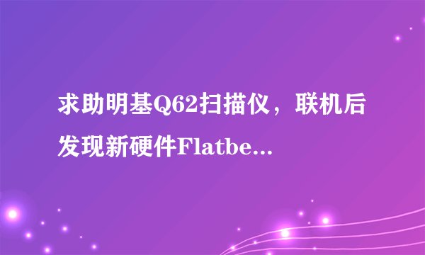 求助明基Q62扫描仪，联机后发现新硬件FlatbedScanner 22，请大虾指点