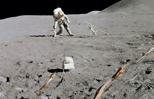 人类首次登月采集的部分月尘被蟑螂吃了,蟑螂吃后有何反映?