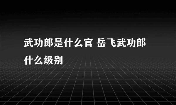 武功郎是什么官 岳飞武功郎什么级别