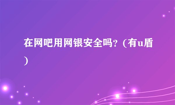 在网吧用网银安全吗?(有u盾)
