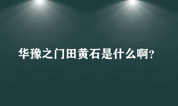 华豫之门田黄石是什么啊？