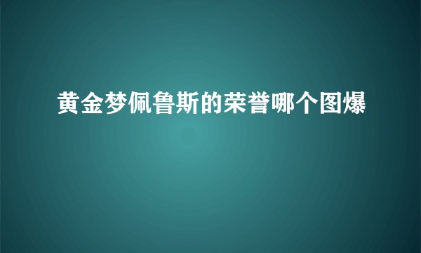 黄金梦佩鲁斯的荣誉哪个图爆