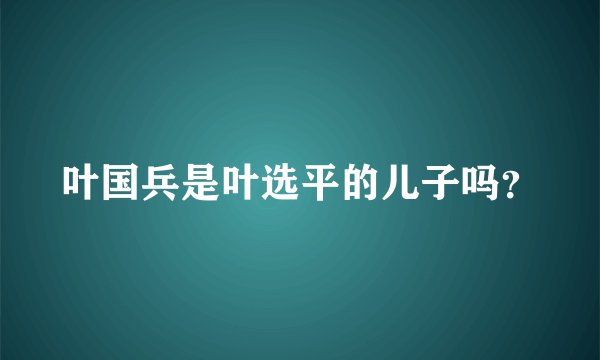 叶国兵是叶选平的儿子吗?
