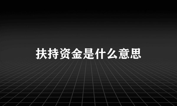 扶持资金是什么意思