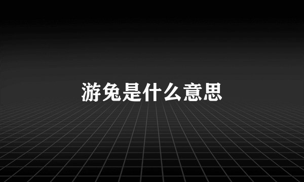 游兔是什么意思