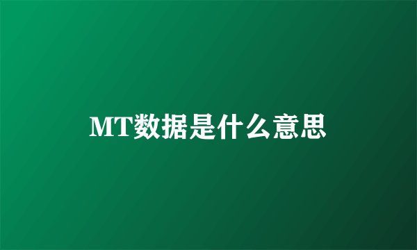 MT数据是什么意思