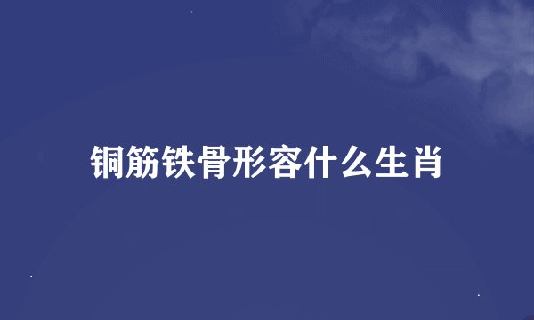铜筋铁骨形容什么生肖