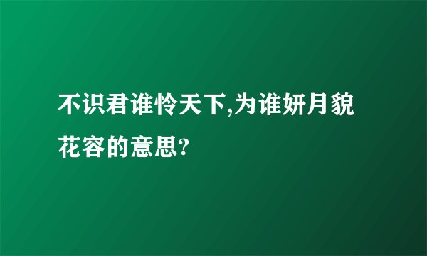 不识君谁怜天下,为谁妍月貌花容的意思?