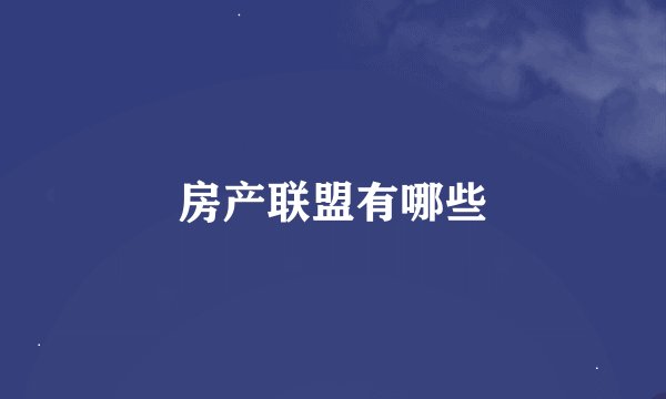 房产联盟有哪些