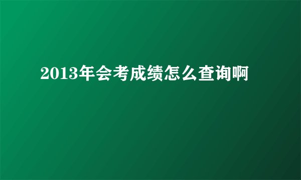 2013年会考成绩怎么查询啊