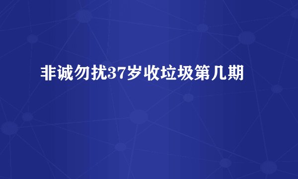 非诚勿扰37岁收垃圾第几期