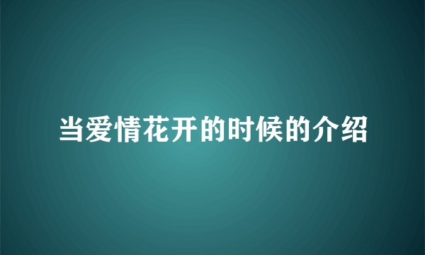 当爱情花开的时候的介绍
