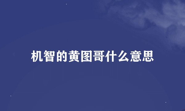 机智的黄图哥什么意思