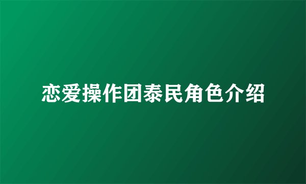 恋爱操作团泰民角色介绍