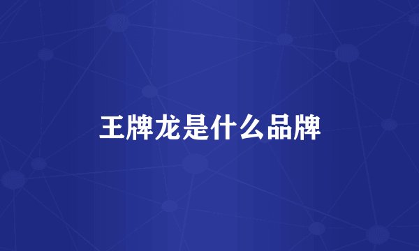 王牌龙是什么品牌
