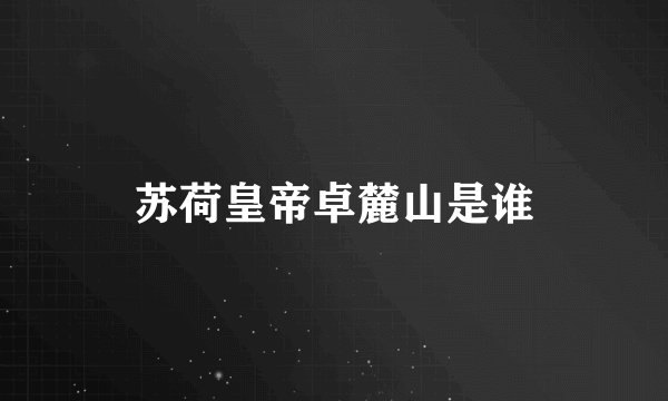苏荷皇帝卓麓山是谁