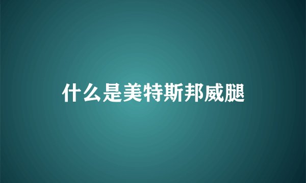 什么是美特斯邦威腿