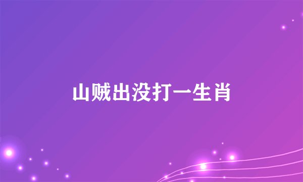 山贼出没打一生肖